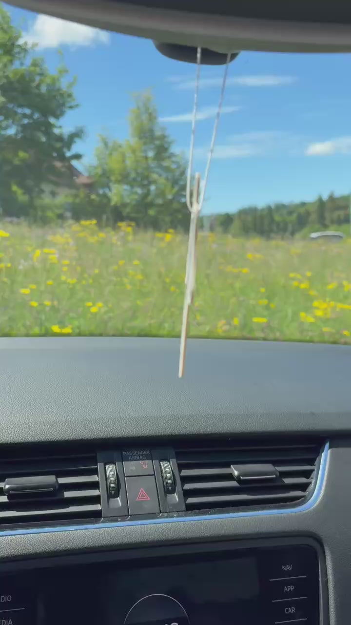 📸 YOUR WROOMI - Your Photo. Your Scent. Your Car.-thumbmail-5